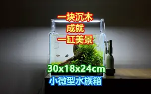 Tải video: 看造景师如何使用一块沉木 成就一缸美景 30x18x24cm