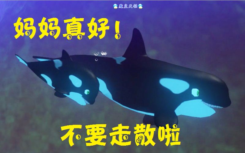 天铭 模拟鱼 海底大猎杀 Feed and Grow Fish 102 虎鲸,悲伤的往事!哔哩哔哩bilibili