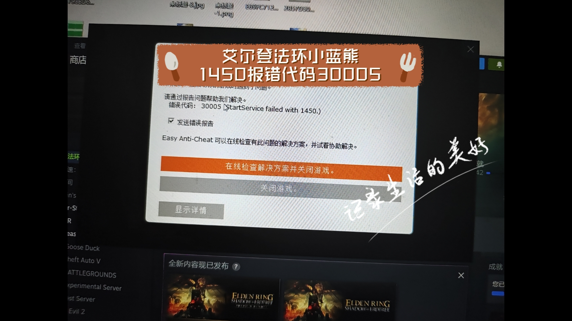 艾尔登法环小蓝熊1450报错代码30005,解决方法,把后台5e退了哔哩哔哩bilibili