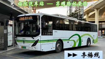 【POV 297】【含报站】【魔都视角 84】上海公交 亭梅线 梅陇汽车站 → 亭耀路林安路 全程前方视角展望