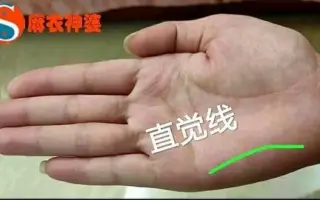 神秘纹 哔哩哔哩 Bilibili