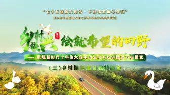 Download Video: 【行走的思政课】第八届全国高校大学生讲思政课公开课展示作品：乡村振兴绘就希望的田野——（三）乡村振兴蕴含独特深意