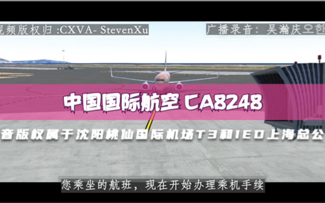 【机场广播录音】中国国际航空 CA8248 沈阳桃仙T3武汉天河T3 值机哔哩哔哩bilibili