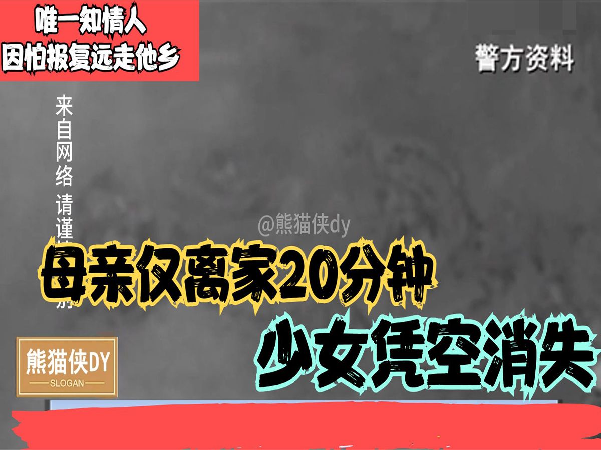 「吉林」母亲仅离开20分钟,小女儿就留下2岁的弟弟凭空失踪