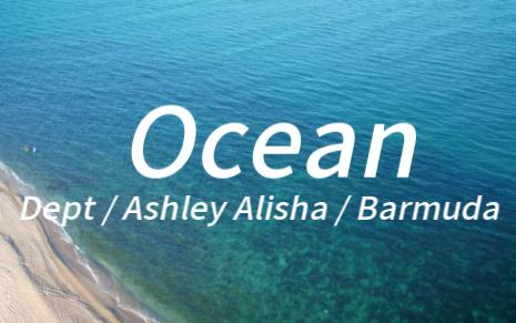 “小清新的风格是永远的神！”—《Ocean》