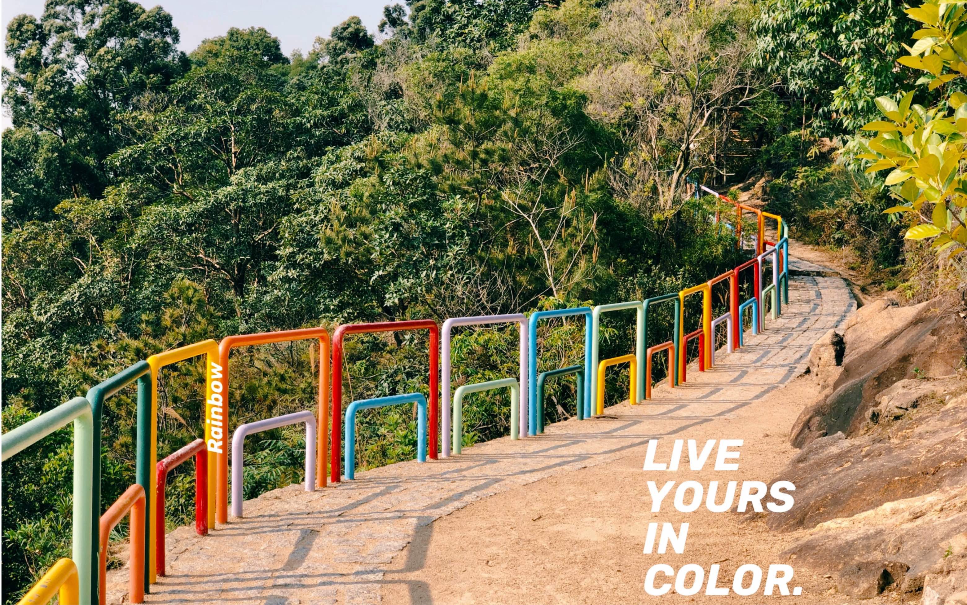 【vlog】 彩虹栏杆|登山记|live yours in color