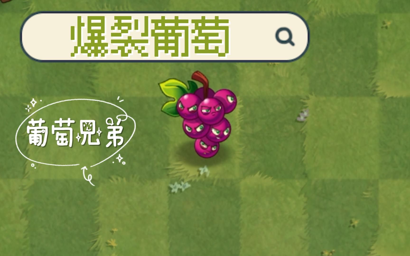 葡萄八兄弟爆裂葡萄