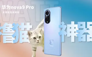 华为解锁花式撸猫的正确打开方式