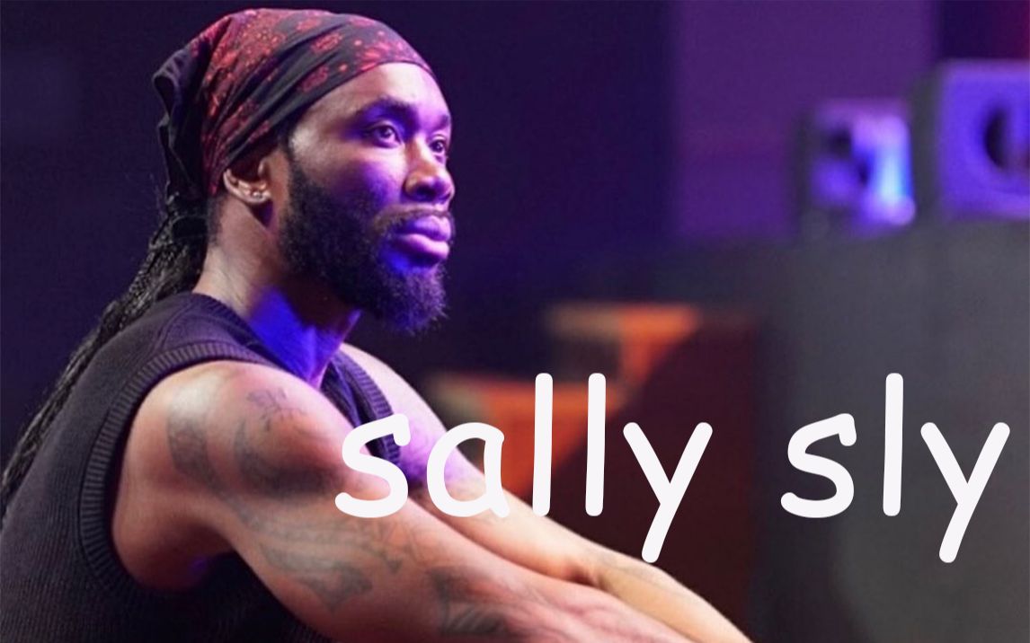 大师之路 sally sly 20042022哔哩哔哩bilibili