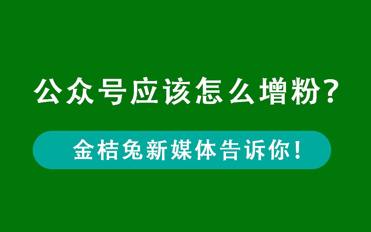 从公众号转让平台买来的公众号应该怎么增粉?哔哩哔哩bilibili