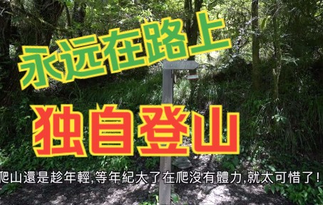 一个人的登山之旅哔哩哔哩bilibili