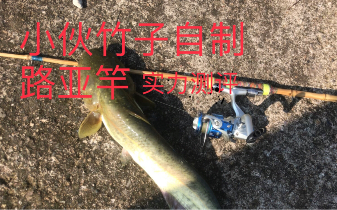 小伙竹子自制路亚鱼竿 实战测评 回家做美味鲶鱼