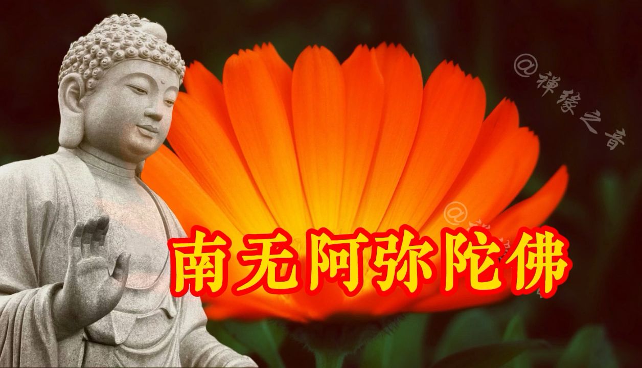 静心版《南无阿弥陀佛》从晨读开始!好运常伴,值得