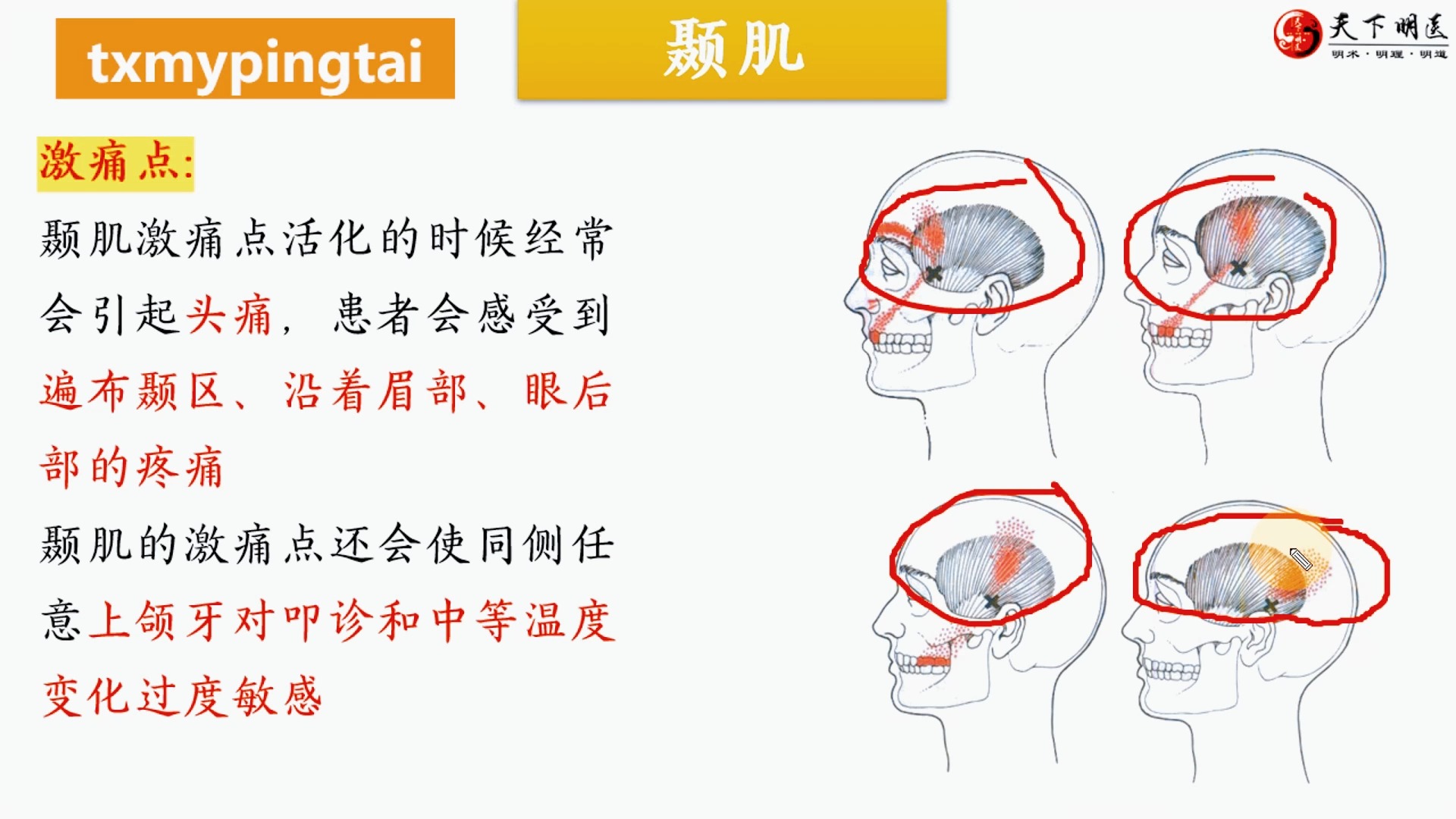 颞肌越来越大图片