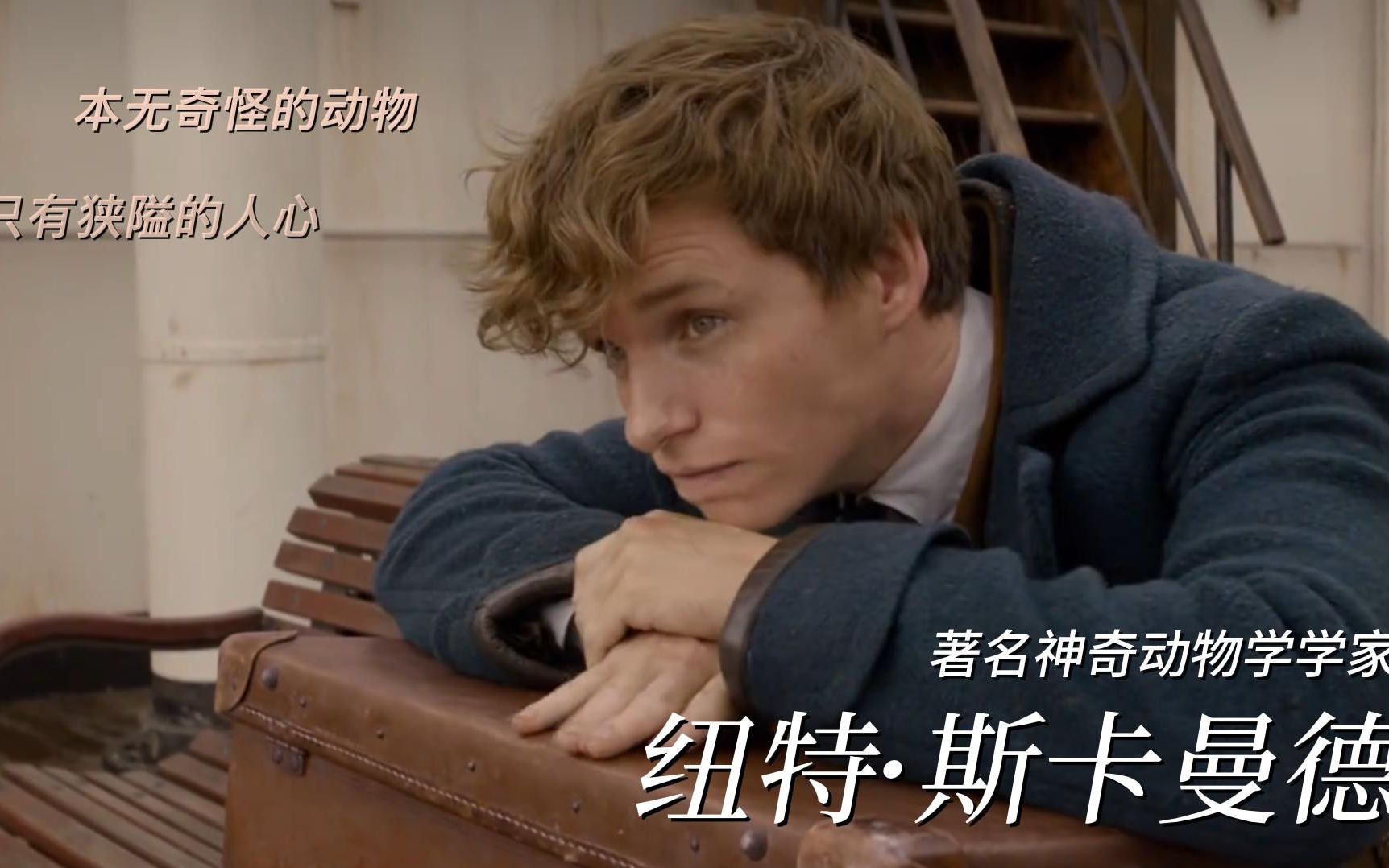 【神奇动物在哪里1-2/纽特个人向混剪】他的心如大地般广阔,厚重,温和