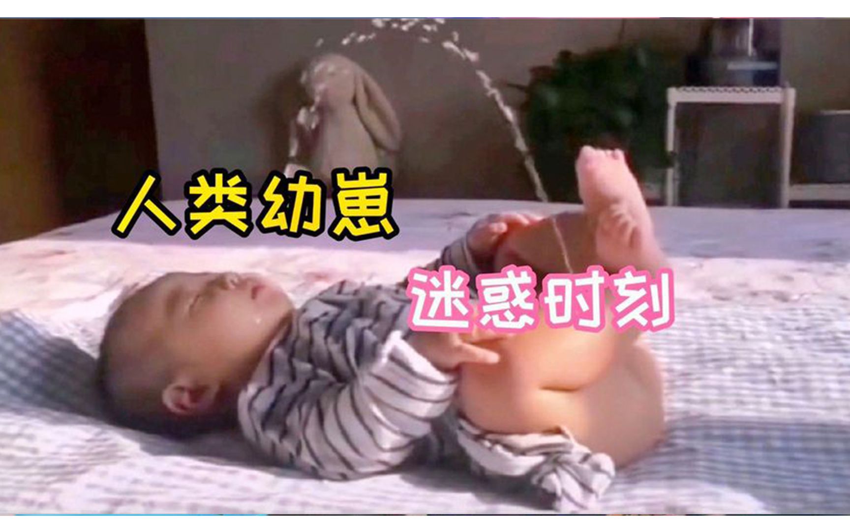 [图]盘点“人类幼崽迷惑时刻”，瞅瞅，这是你认识的大聪明吗？