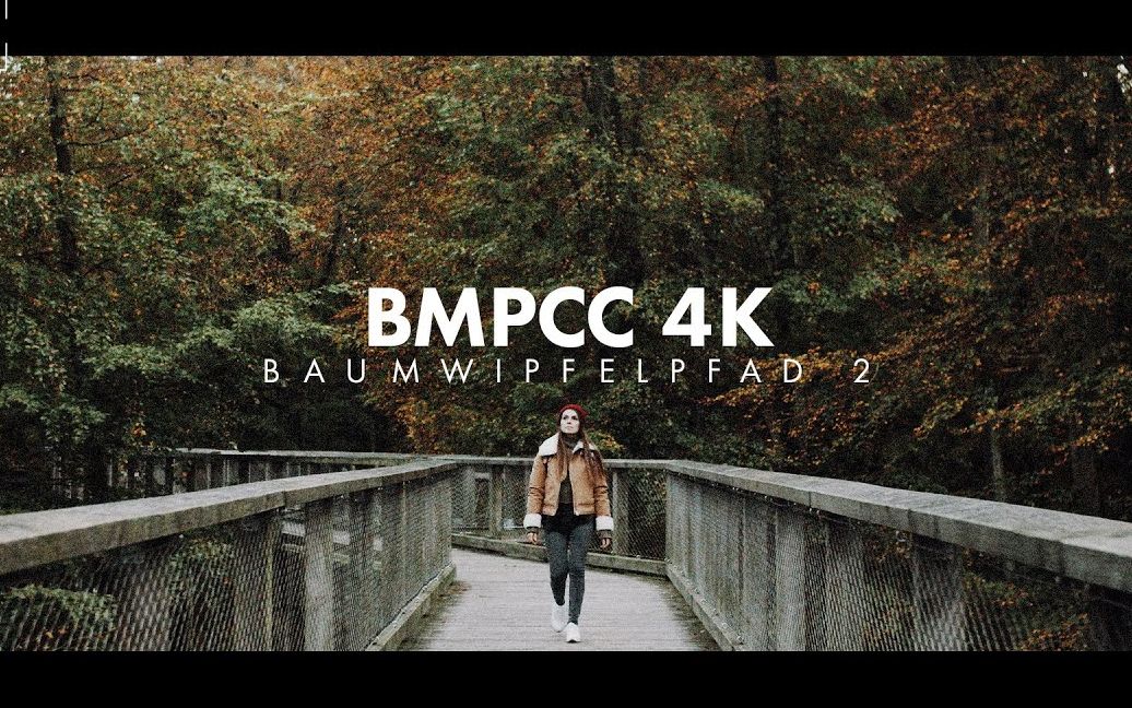 【果然】油管大神Roman Hense「BMPCC 4k Sigma 1835!」电影质感VLOG BMD 最新Home系列哔哩哔哩bilibili