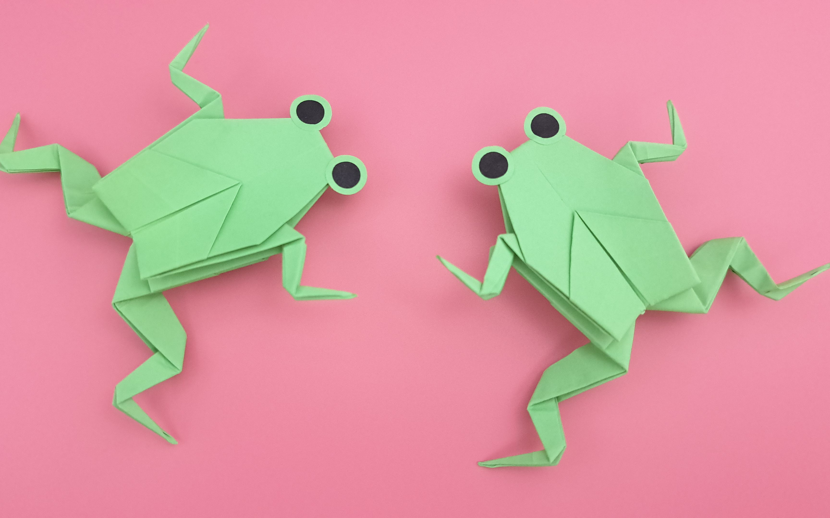 一张纸折可以弹跳的青蛙,非常好玩,小朋友都喜欢