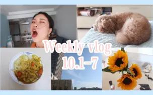 Download Video: 【J谈】weekly vlog 10月第一周/可乐永远在馋/卸妆步骤/绿城之恋流心酥/炸酱面/冬阴功锅/弓形虫测试/自制泡菜豆腐汤/用错身体乳/修灯/逛名创优品