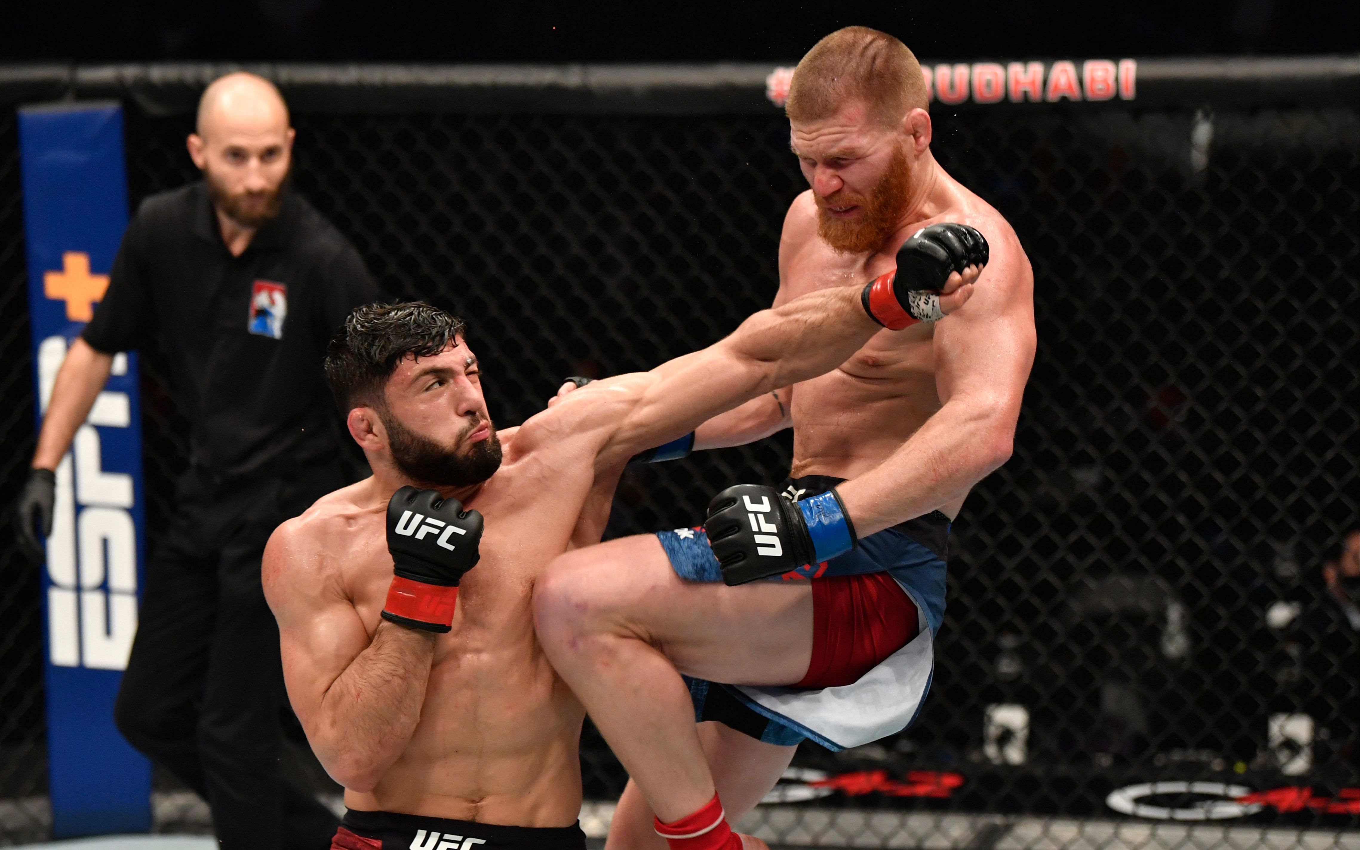 【ufc强强对决】亚美尼亚最强!阿尔曼-萨鲁基安 vs 马特-弗雷沃拉