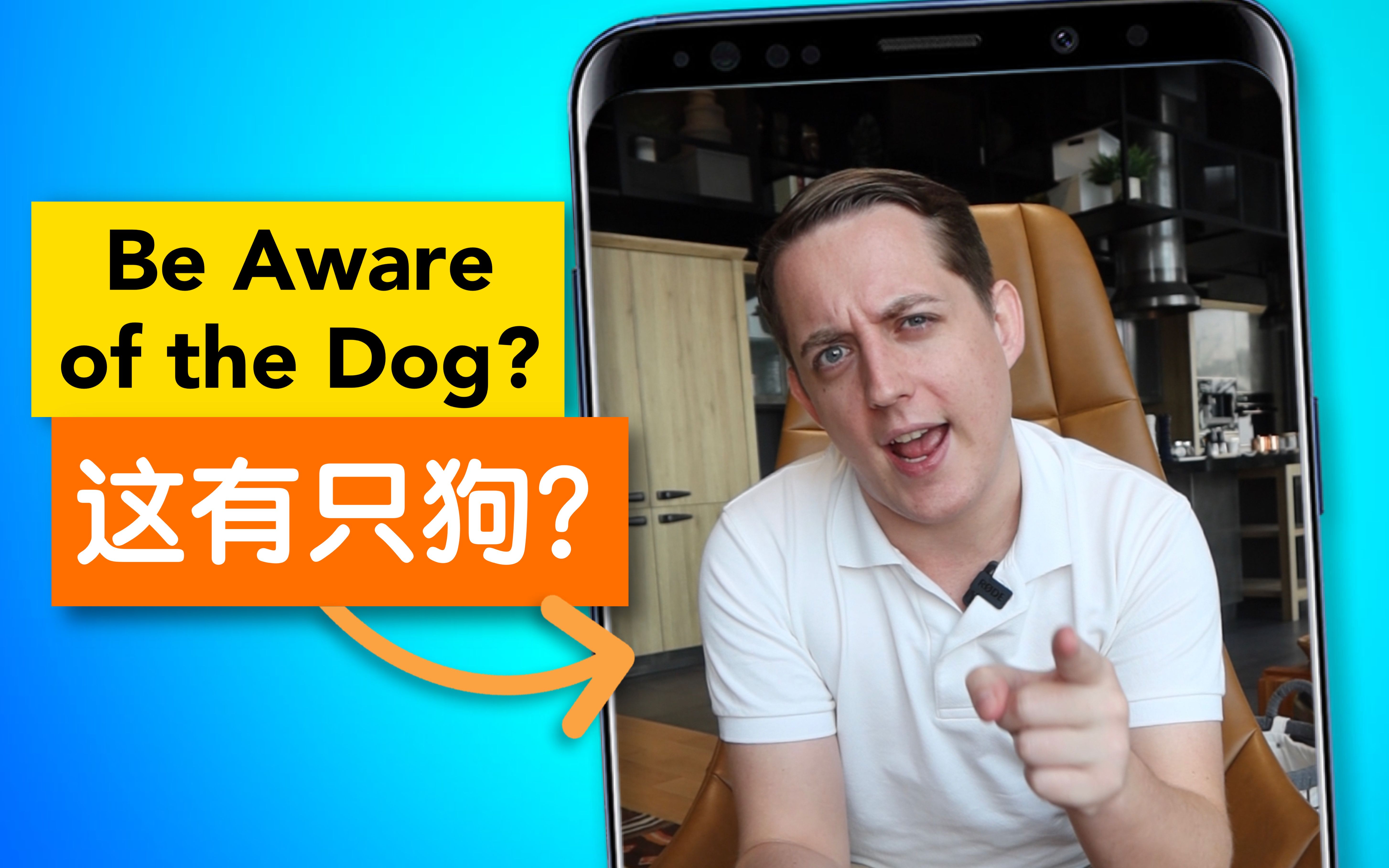 Be Aware of the Dog?哔哩哔哩bilibili