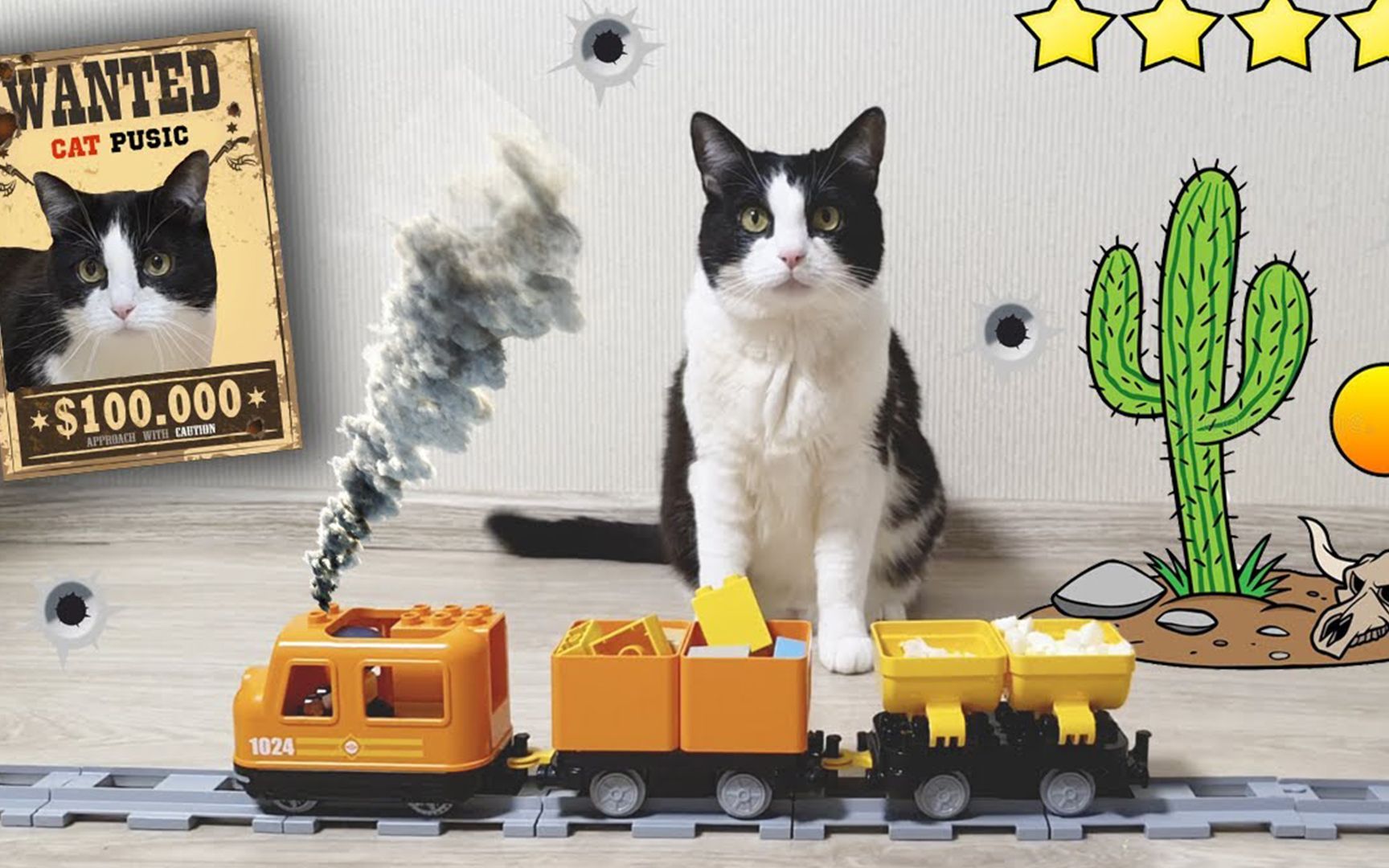 猫咪追火车图片