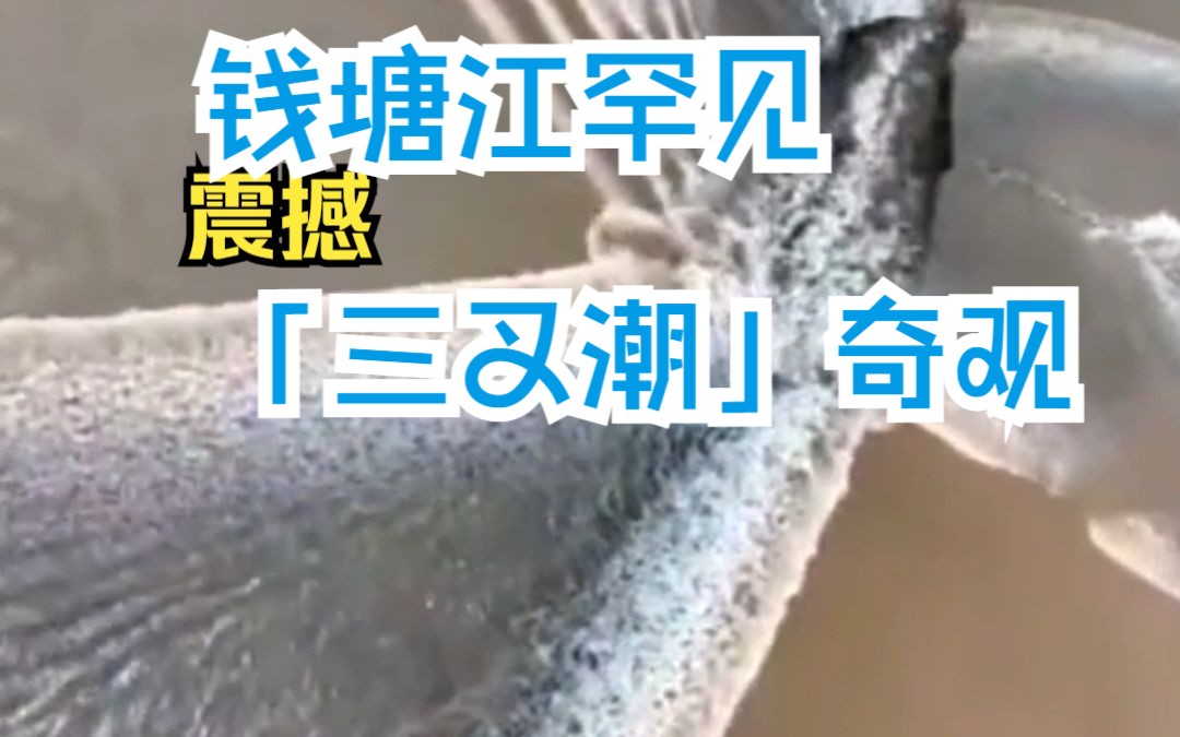 震撼 浙江海宁钱塘江大潮出现罕见「三叉潮」奇观 水自何方来?哔哩哔哩bilibili