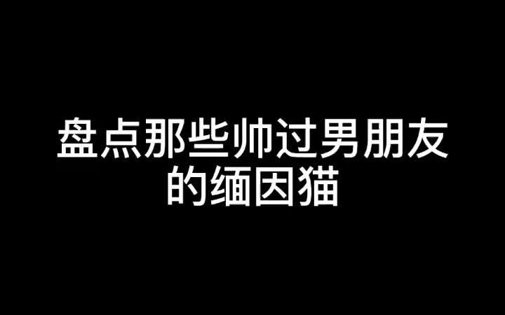 [图]有冒犯联系立删#居然被一只猫帅到了