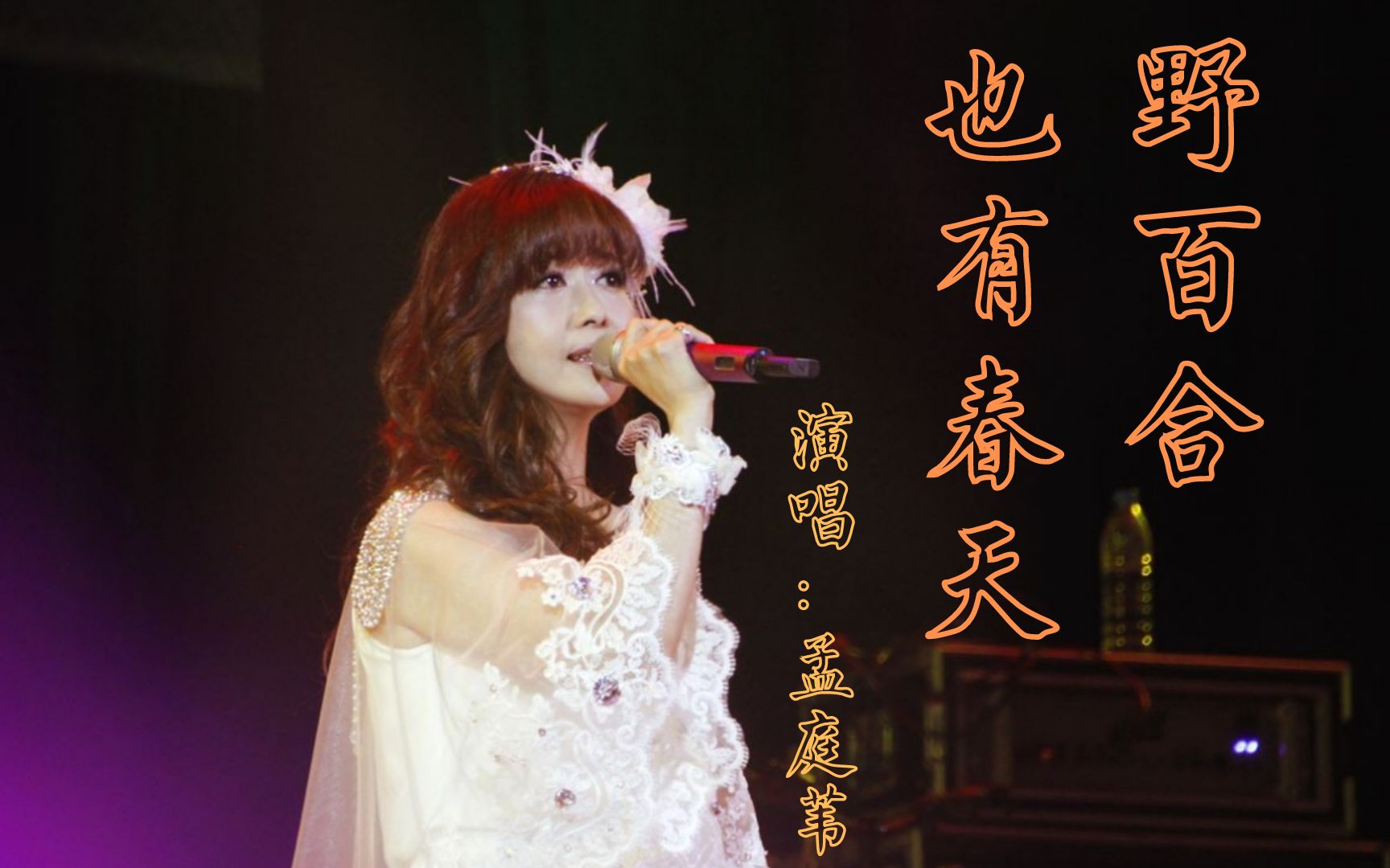 孟庭苇一首《野百合也有春天》真正天籁之音,歌美人更美,不夸张