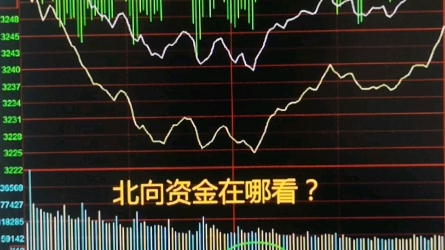 北向资金怎么看?哔哩哔哩bilibili