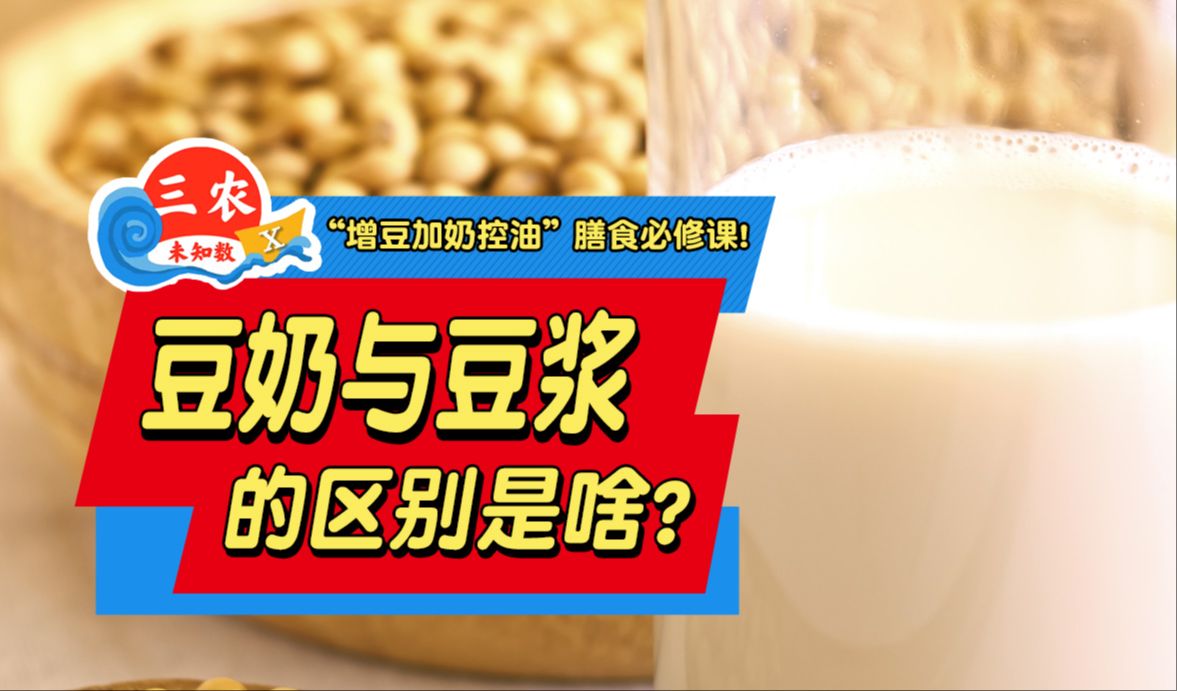 三农未知数丨豆奶与豆浆的区别是啥?哔哩哔哩bilibili