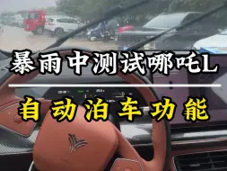 Download Video: 暴雨中测试哪吒L自动泊车功能