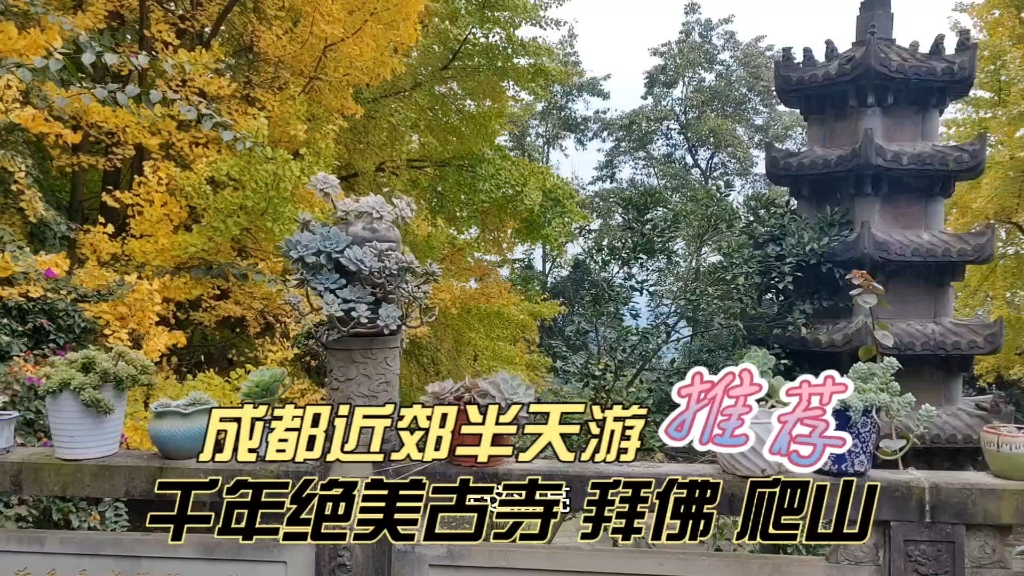 成都近郊1小时,千年绝美古寺,半山花海半山寺,赏秋景拜佛爬山遛娃, 半天游,推荐哔哩哔哩bilibili