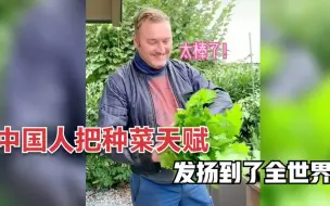 Video herunterladen: 中国人把种菜天赋发扬到了全世界！外国人学的有模有样，硕果累累