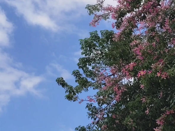 天气梅州