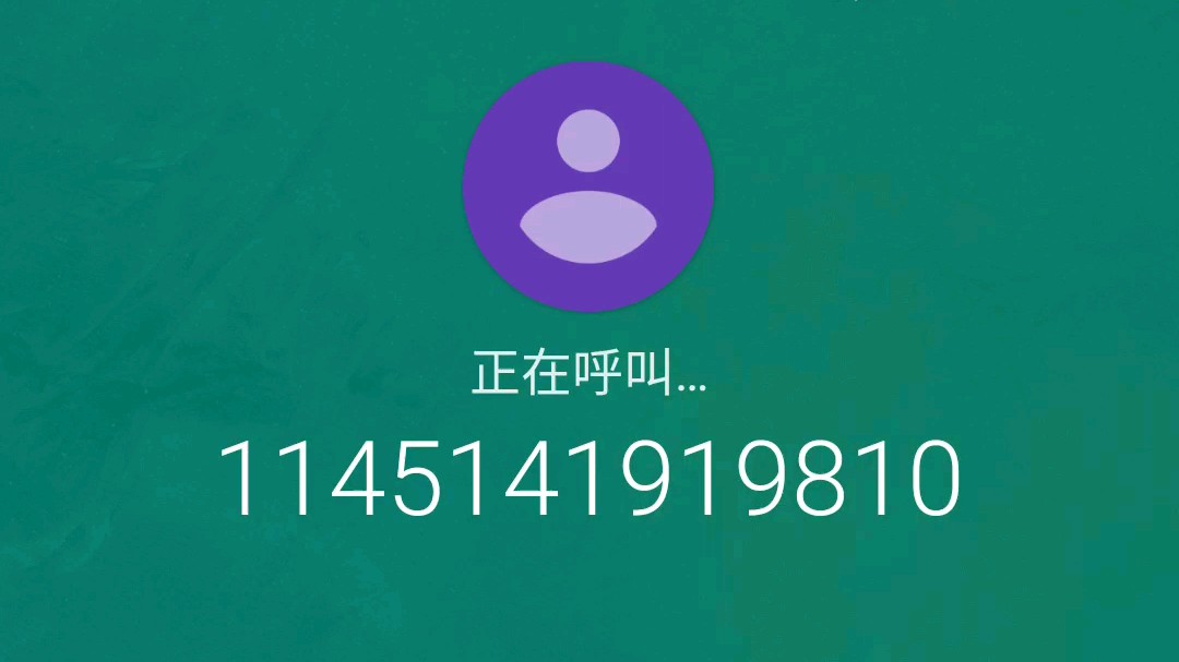 当你拨打1145141919810时.