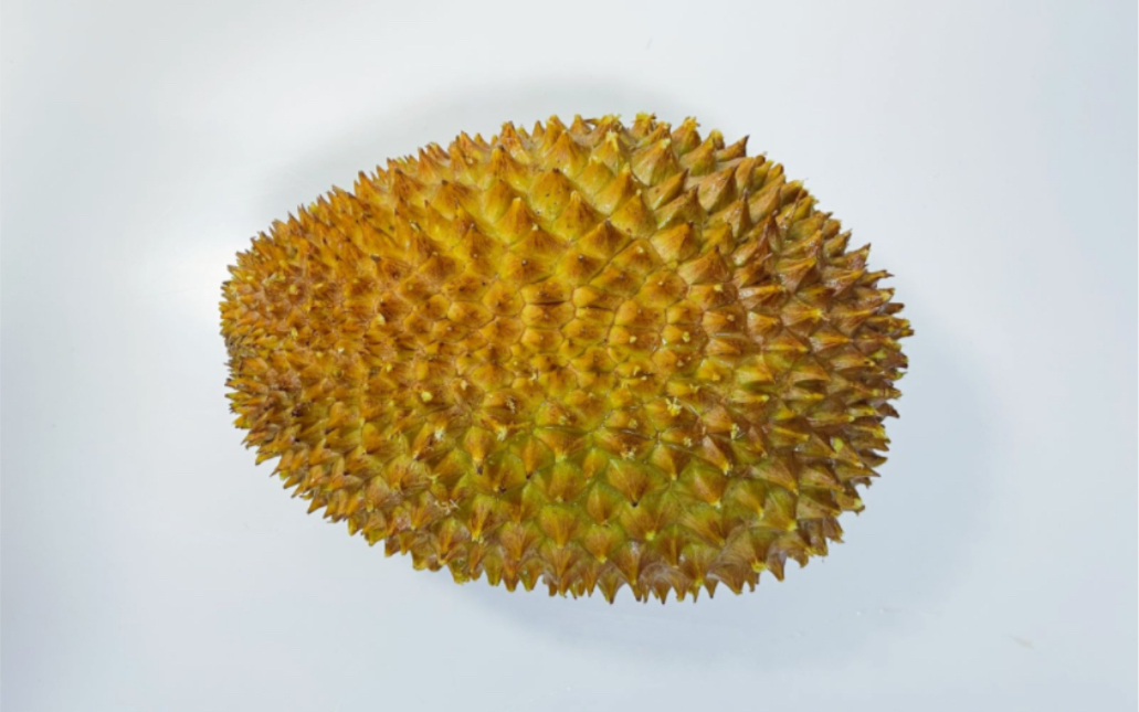 [ 榴莲盲盒no.187 | 竹脚 d160 ]近期开到的一粒美味竹脚