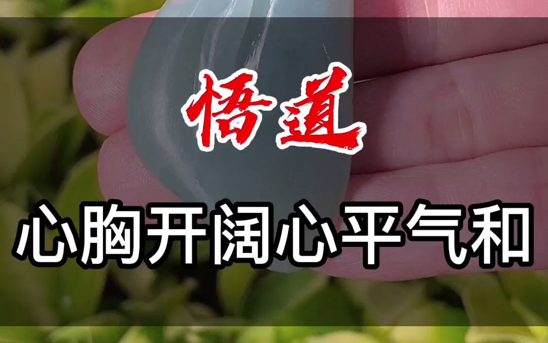 翡翠悟道,心胸开阔,心平气和