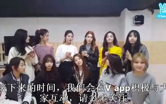 I.O.I Vlive 合集哔哩哔哩bilibili