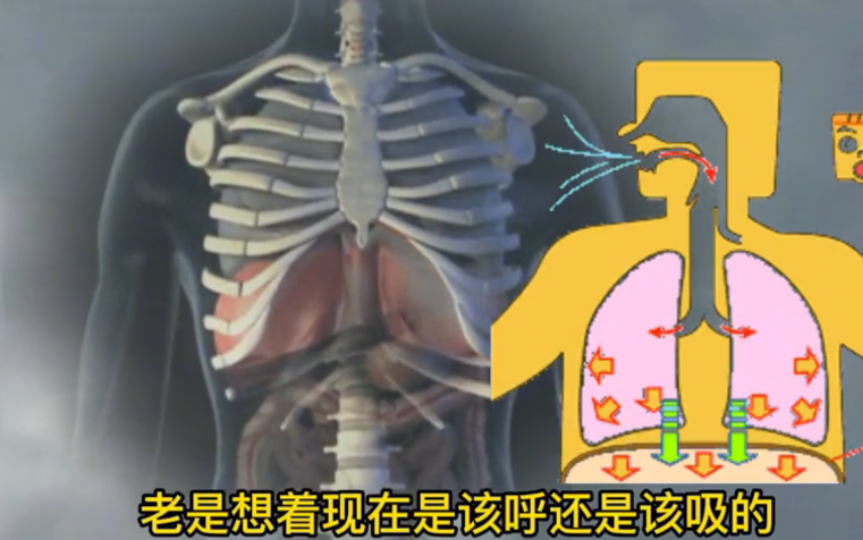 逆腹式呼吸哔哩哔哩bilibili