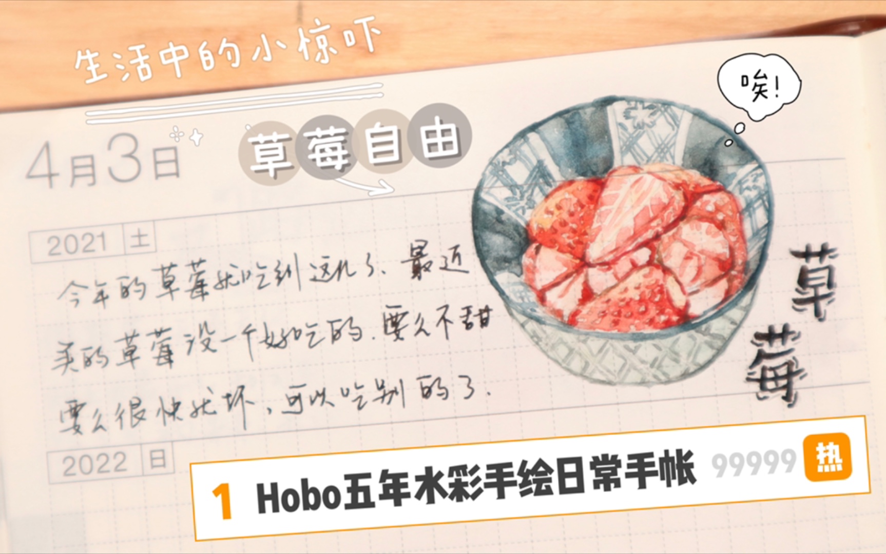 hobo五年水彩手绘日常手帐|草莓季的终结