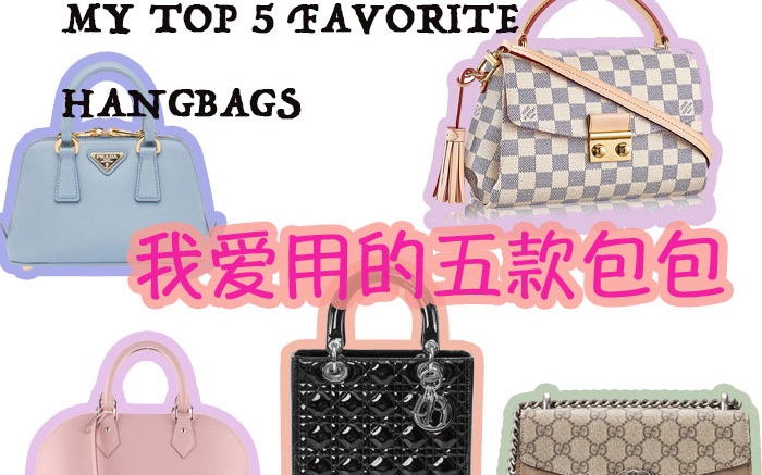 我目前爱用的五款包包(Dior, LV alma, prada shell mini, Gucci酒神包)哔哩哔哩bilibili