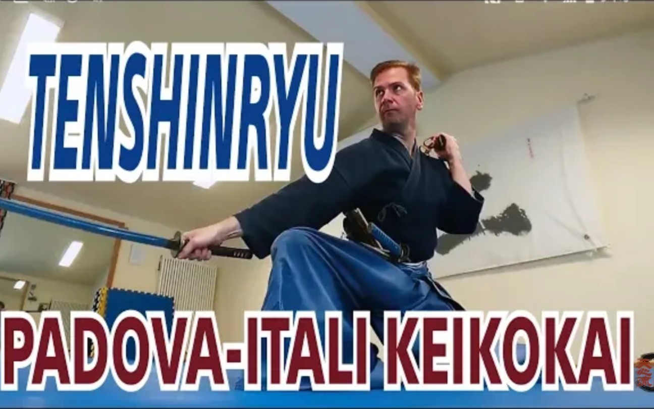 【天心流】TENSHINRYU(点心リュ) PADOVAITALI(意大利) KEIKOKAI(稽古会)哔哩哔哩bilibili