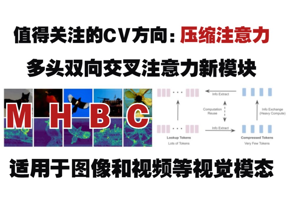 值得关注的CV方向:压缩注意力,多头双向交叉注意力新模块,适用于图像和视频等视觉模态哔哩哔哩bilibili