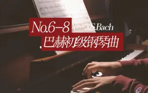 下载视频: 巴赫初级钢琴曲No.6-8