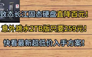 Download Video: 259的2T致态长江固态硬盘，长江存储简直太香了！冲冲冲