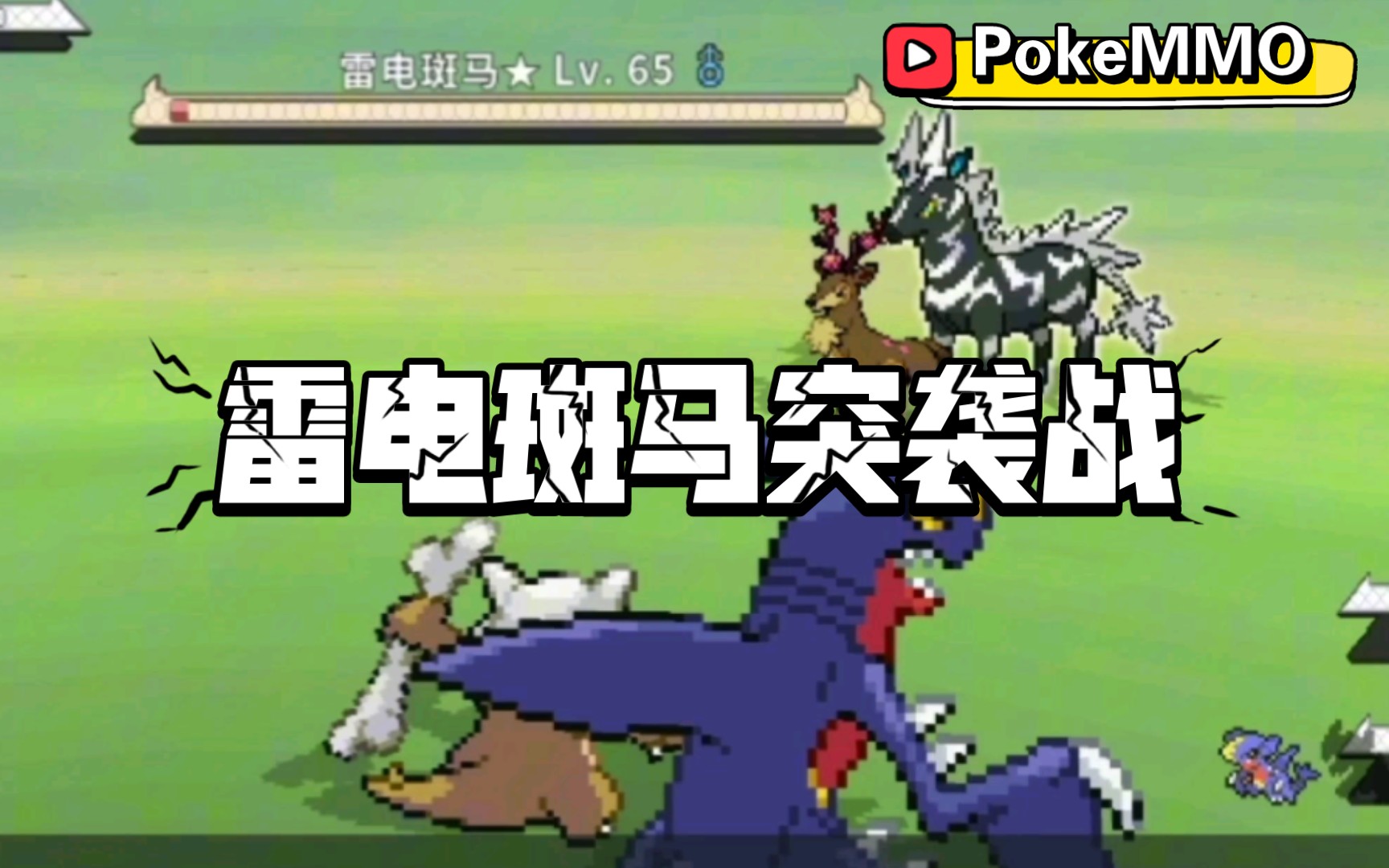 【pokemmo】雷电斑马突袭流程,羁绊嘎啦嘎啦给予最后一击!网络游戏热门视频