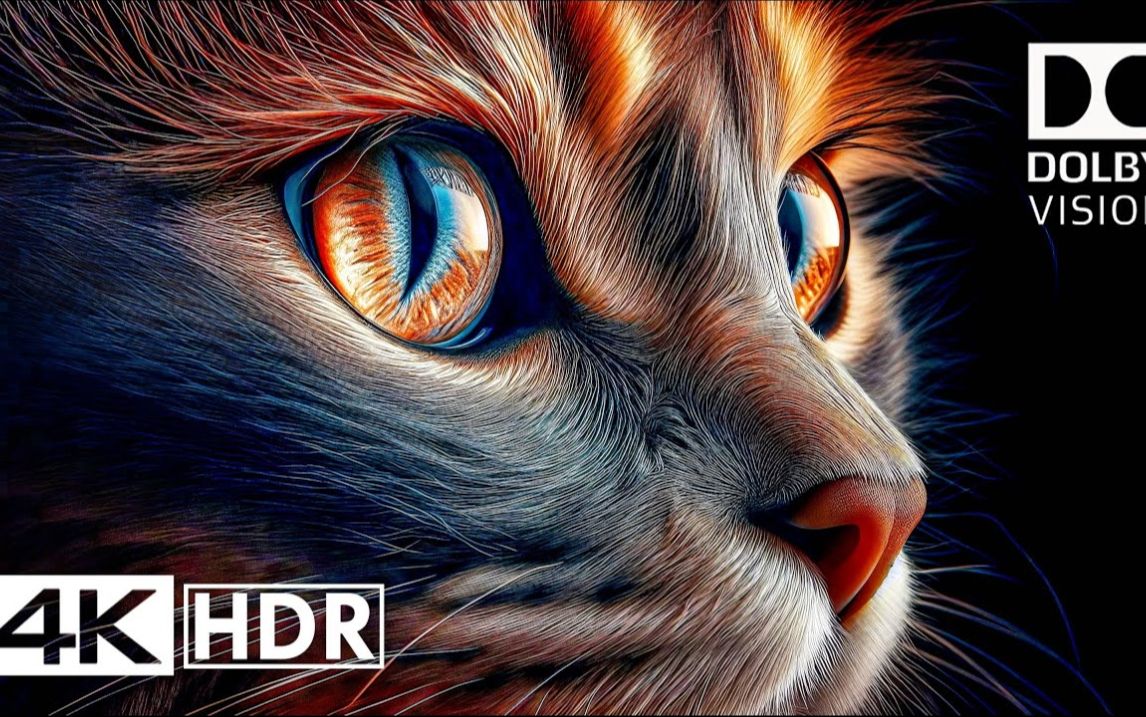 [图]最佳 HDR 4K 60FPS 杜比视界 (4K 视频)