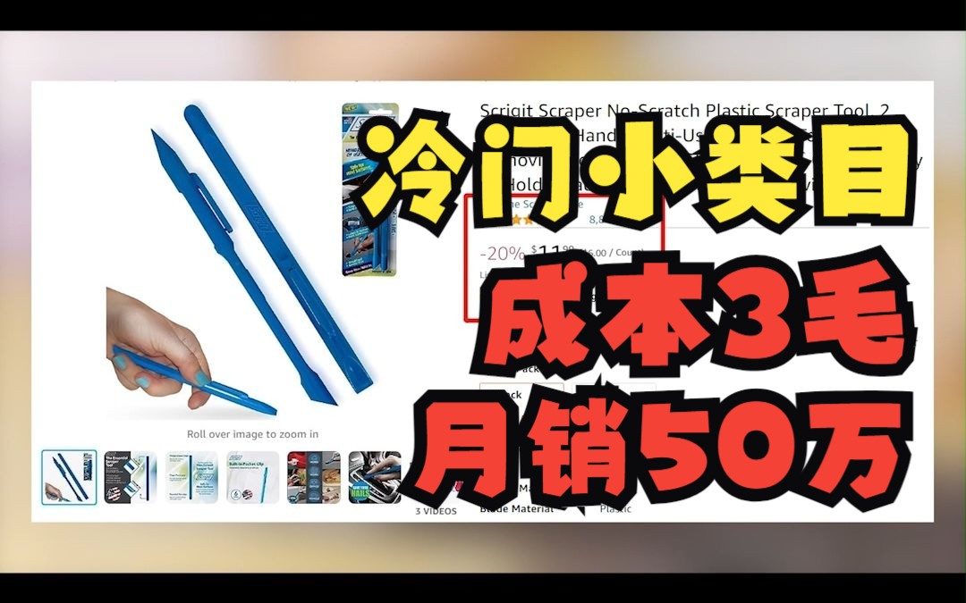 亚马逊冷门小类目,成本3毛月销50万!哔哩哔哩bilibili