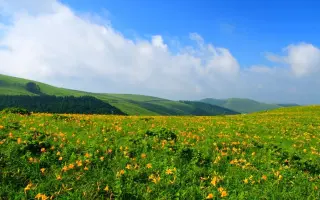 车山高原 搜索结果 哔哩哔哩 Bilibili